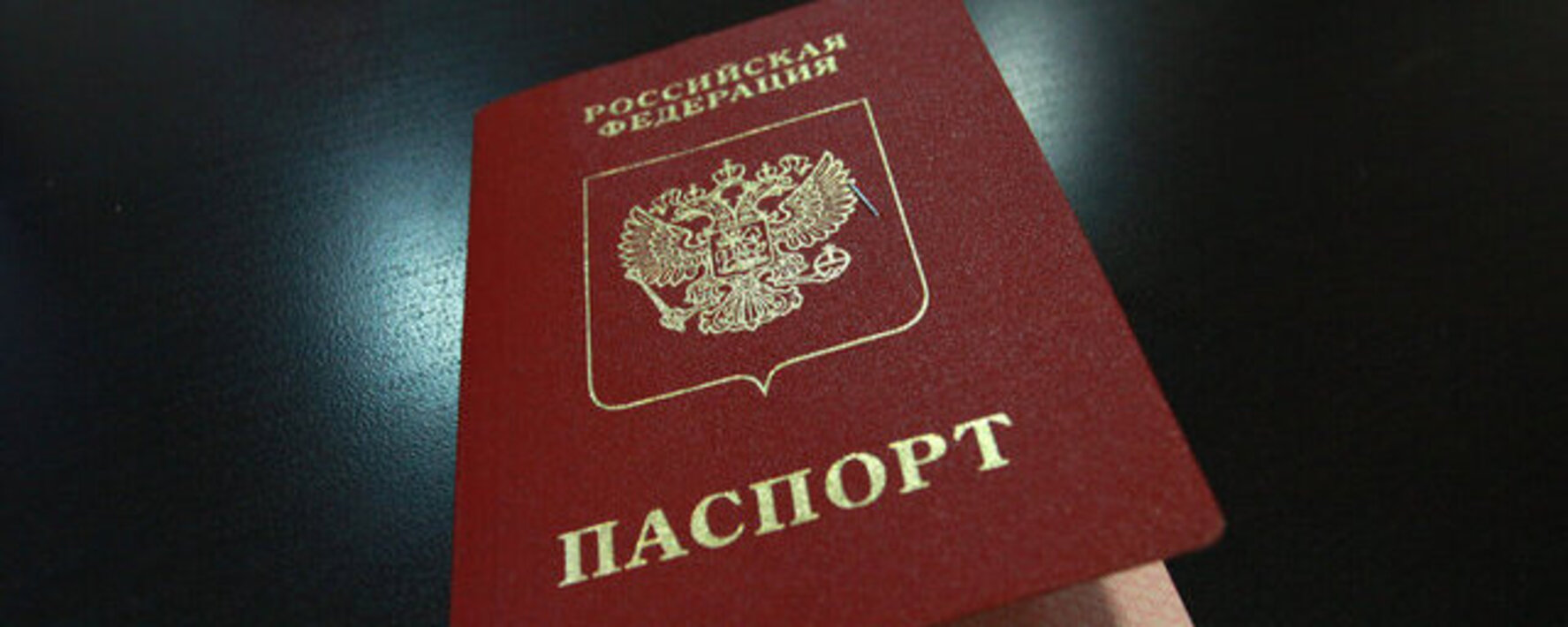 Паспорт продленного 24.01