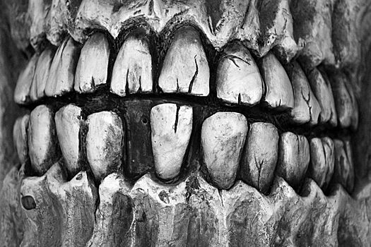 Ученые выявили необычную связь между зубами и эволюцией человека