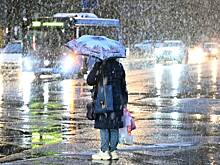 Москвичей предупредили о мокром снеге