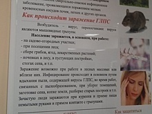 Мышиная лихорадка. В саратовских больницах продолжает лечение 51 пациент