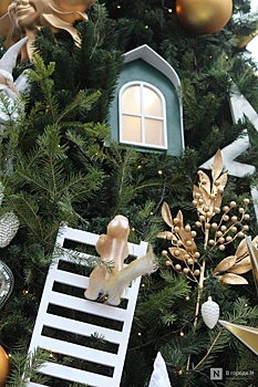 Нижегородка Ирина Пегова раскрыла, какую ее новогоднюю традицию критикует семья