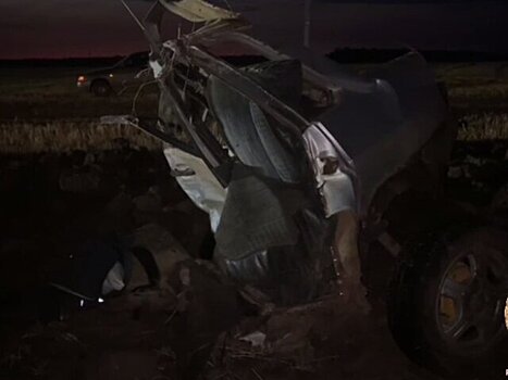 Два человека погибли в ДТП в Ростовской области