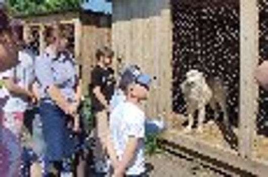 Дети сотрудников ГУФСИН России по Новосибирской области побывали на уникальной страусиной ферме под Новосибирском в День защиты детей