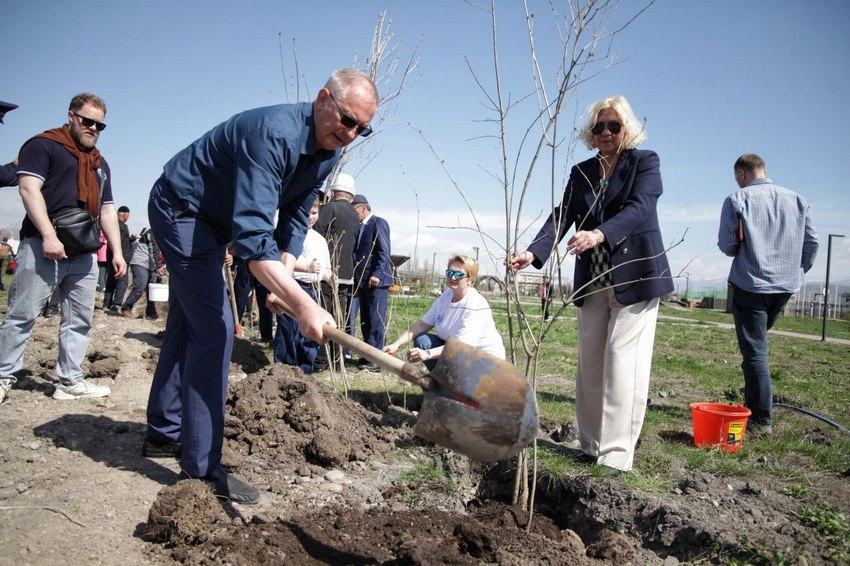 На Аллее славы в городе Манасе будет цвести сирень от 