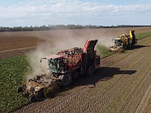 За счет чего в Беларуси ожидают хороший урожай, пояснили эксперты