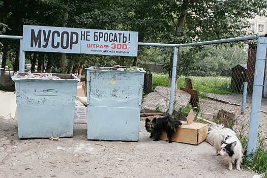 В Барнауле для раздельного сбора мусора раскрасят контейнеры