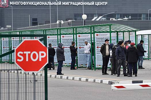 В Россию призвали не пускать родственников мигрантов