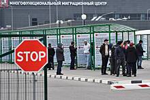 В Россию призвали не пускать родственников мигрантов