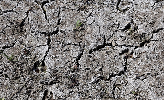 Европе предрекли экстремальные засухи