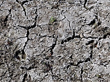 Европе предрекли экстремальные засухи