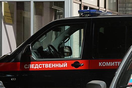 Раскрыта судьба годовалого брата расправившейся с матерью российской школьницы