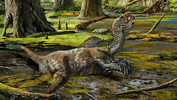 Китайцы нашли останки пернатого динозавра