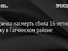 Электричка насмерть сбила 16-летнюю девочку в Гатчинском районе