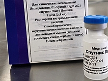 "Спутник Лайт" зарегистрировали в Монголии