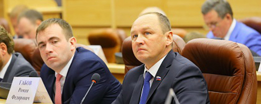 Областные парламентарии обсудили ситуацию с отловом безнадзорных животных