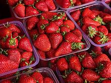 Нежная ягода: как выбрать качественную клубнику и правильно ее хранить