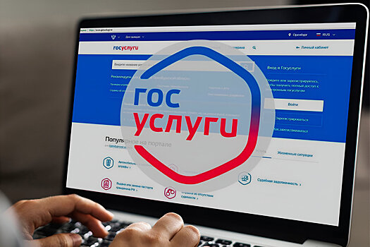«Госуслуги» – курянам