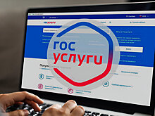 «Госуслуги» – курянам