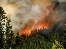 Площадь лесных пожаров в Канаде превысила 16 миллионов гектаров