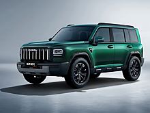 Бензиновый кроссовер Haval Raptor: первые официальные снимки
