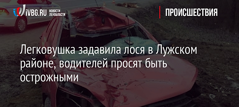 Легковушка задавила лося в Лужском районе, водителей просят быть острожными