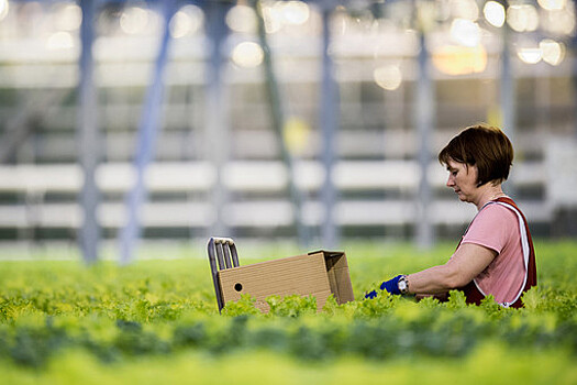 Назван снимающий усталость продукт