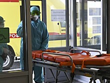 Разрушительная пандемия и вирусы-мутанты: в РФ оценили прогнозы ученых США