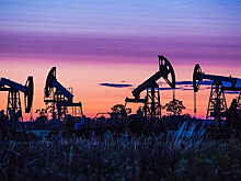 Вьетнам прекратил бурение нефти по требованию Китая