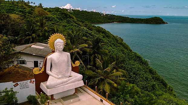 Рейсов на Шри-Ланку из Сочи станет меньше