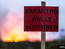 В Пермском крае введен карантин по бешенству животных