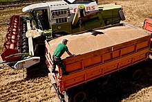 Кубанские фермеры предложили создать государственную зерновую компанию