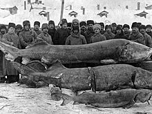 Сколько стоит Россия