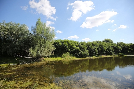 В 2025 году Волгоградские природные парки посетили свыше 200 тысяч туристов
