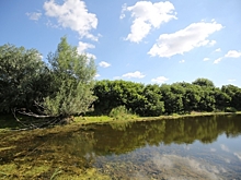 В 2025 году Волгоградские природные парки посетили свыше 200 тысяч туристов