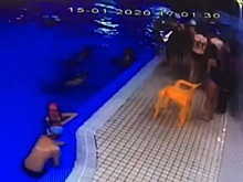 Первоклассник впал в кому во время тренировки в бассейне во Всеволожске