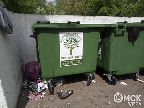 В Омске решили пересчитать нормативы по мусору