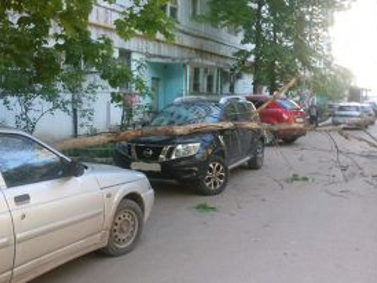 Последствия урагана. Что делать, если на машину упало дерево - Рамблер/авто