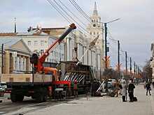 В Воронеже на проспекте Революции высадили первые клены