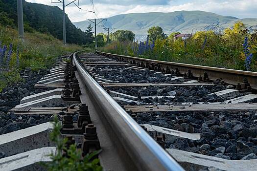 Пашинян пожаловался на потери из-за сотрудничества с Россией