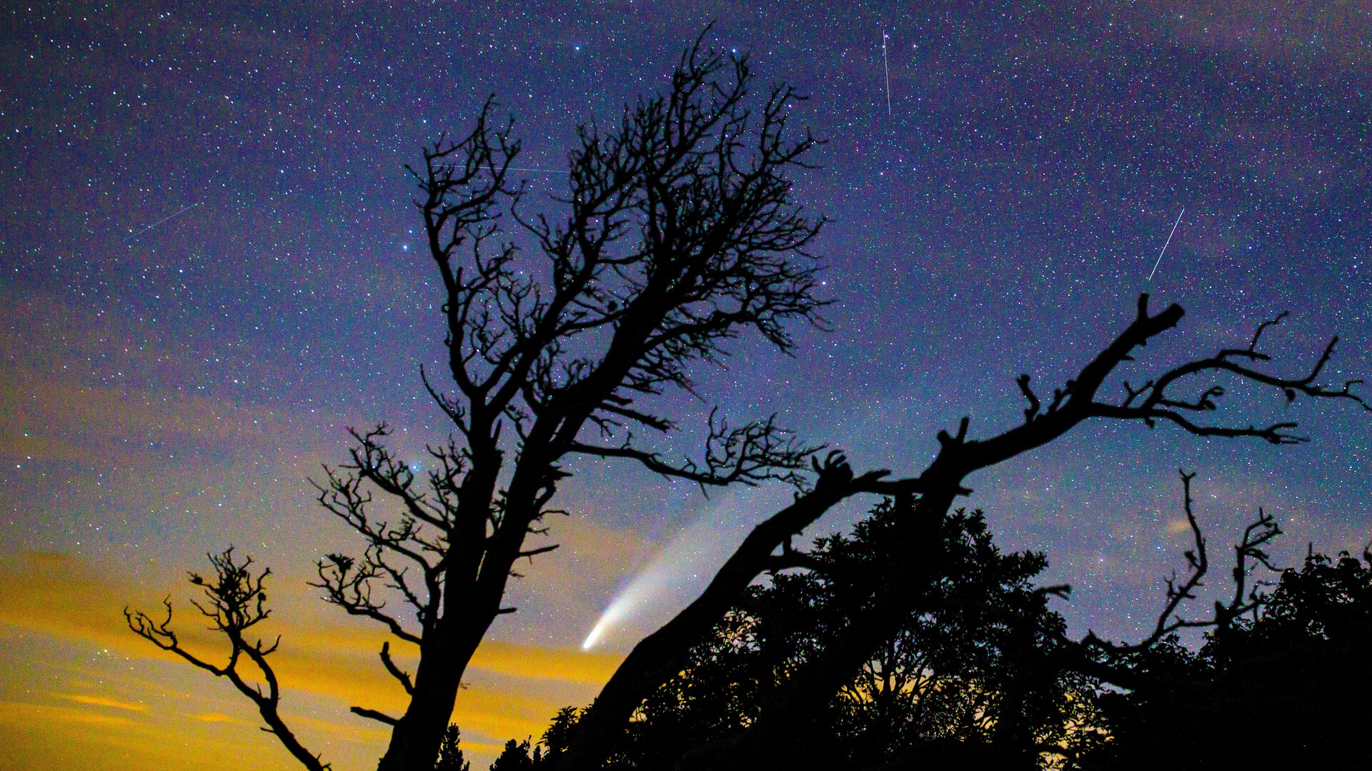 Межзвездную комету 3I/ATLAS проверили на сигналы внеземных технологий