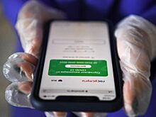 В Челябинске за нарушение масочного режима составлено 132 протокола