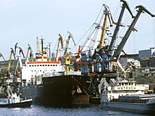 В порту Петербурга обнаружена партия кокаина на 4,5 млрд