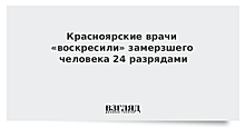 Красноярские врачи «воскресили» замерзшего человека 24 разрядами