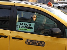 Служебный автопарк правительства Камчатки перейдет в режим бесплатного такси