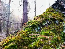 В Самарской области 19 ноября снова будет тепло, но дождливо