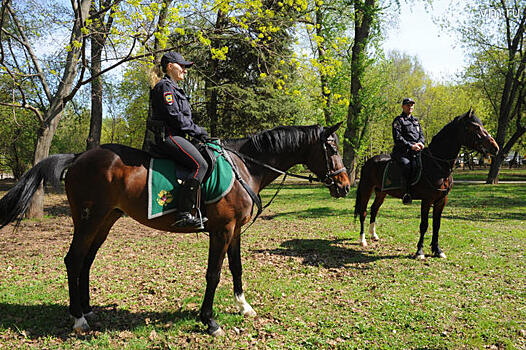 Порядок в парках создают конные стражи