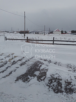 Заснеженные дороги преградили путь "скорой" в кузбасском городе