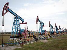 Цены на нефть замедлили рост на укреплении доллара