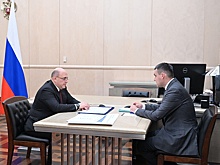 Михаил Мишустин оценил работу по защите лесов