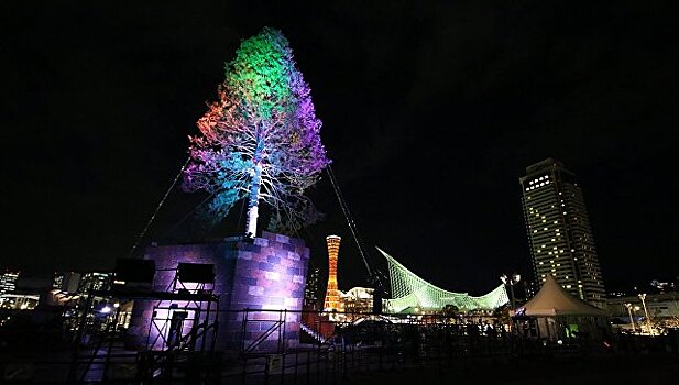 В Японии зажглась самая высокая в мире живая "рождественская ель"